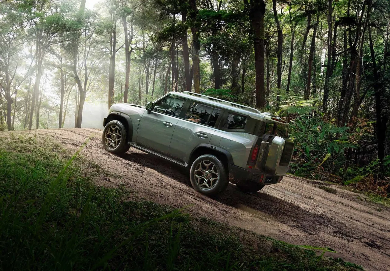Grey T2 climbing a dirt track through a pine forest